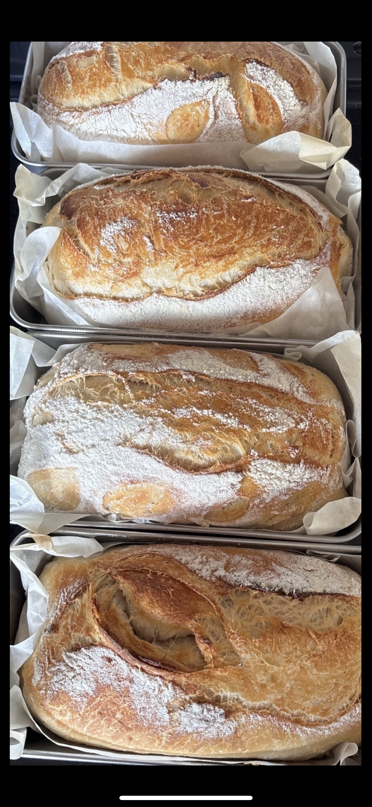 Organic Sourdough Bread Sandwich Loaf